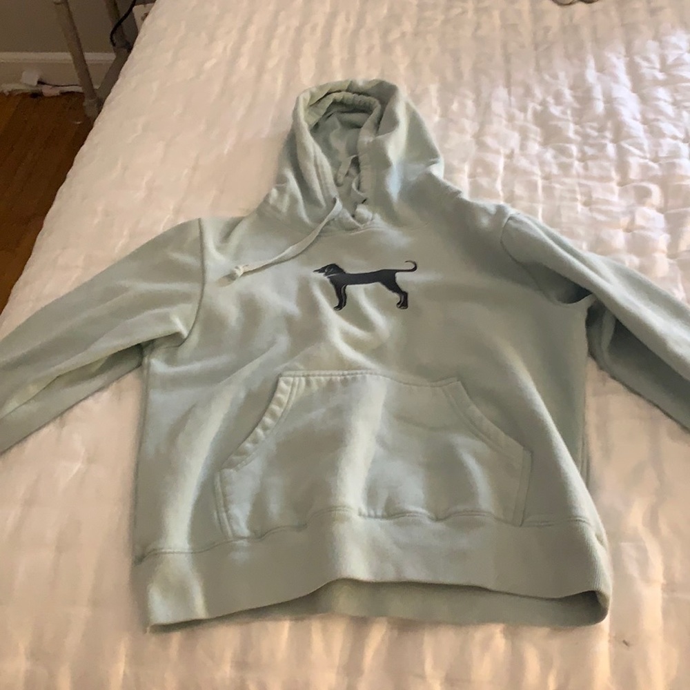Sea Green Black Dog Sweatshirt